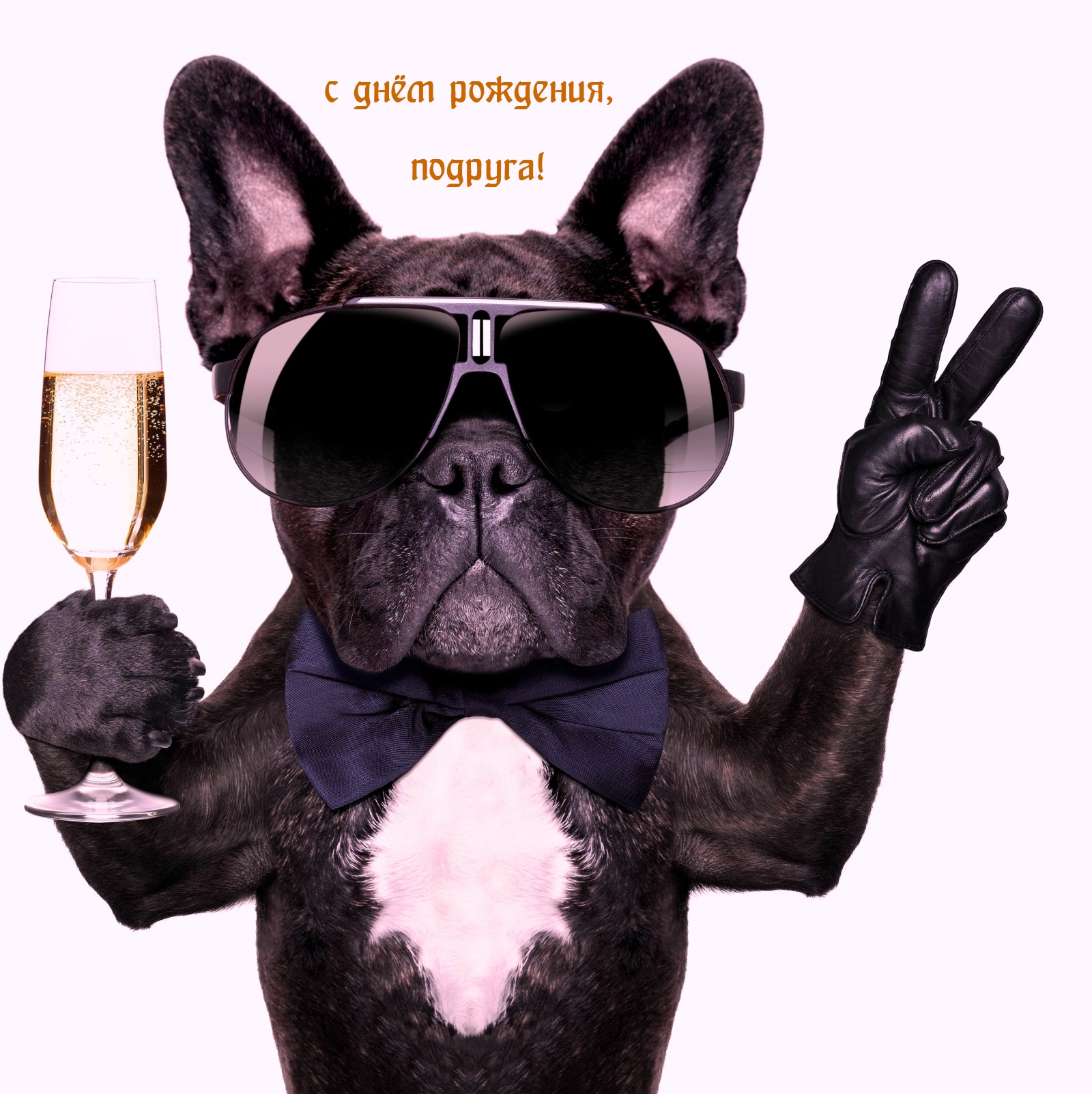 с днём рождения, подруга!