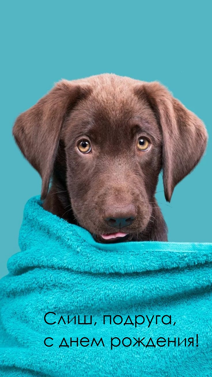 Слиш, подруга, с днем рождения!
