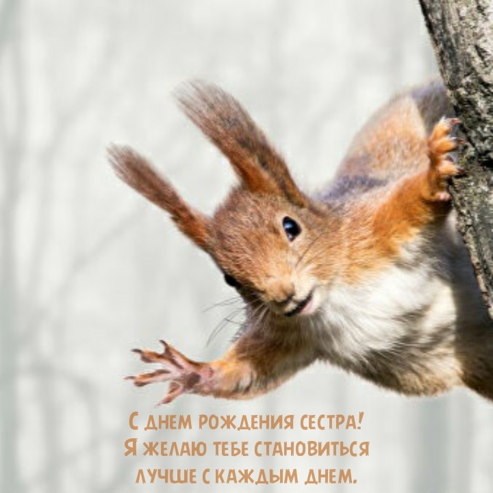 Я желаю тебе становиться лучше с каждым днем.