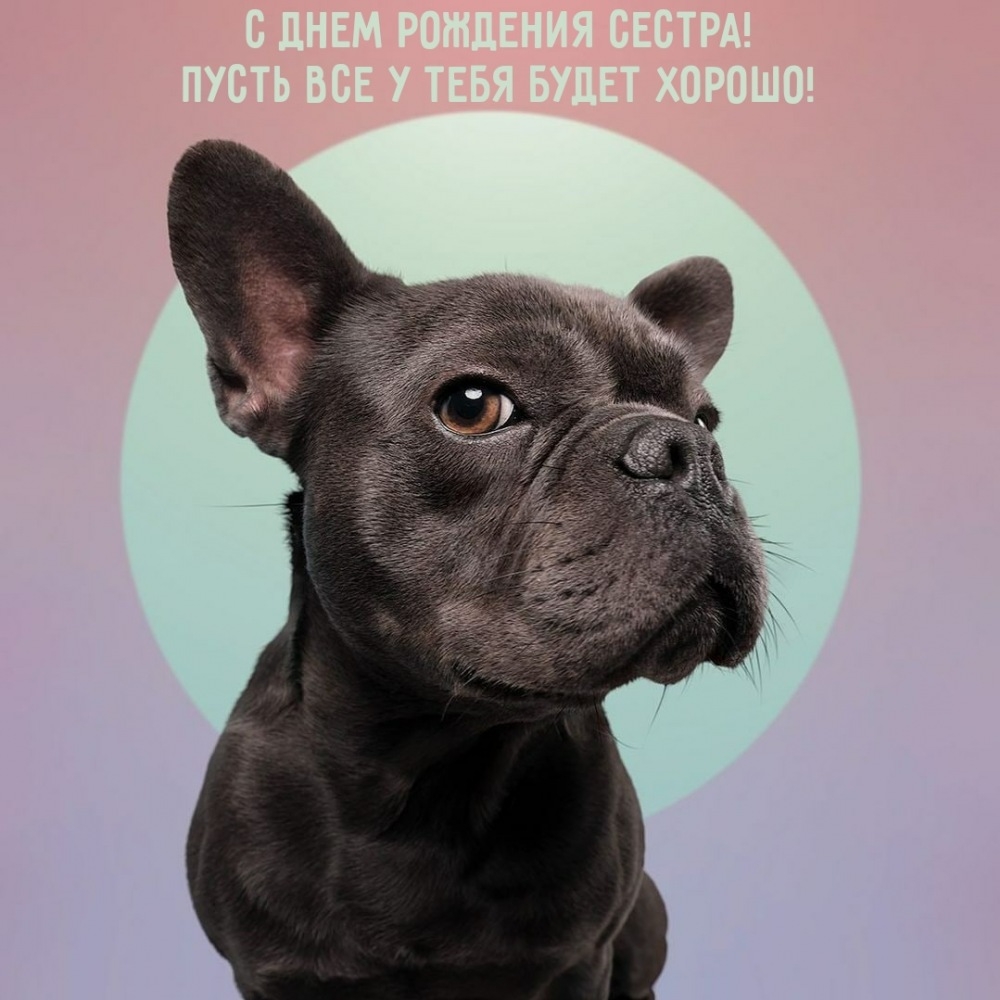 С днем рождения сестра! Пусть все у тебя будет хорошо!