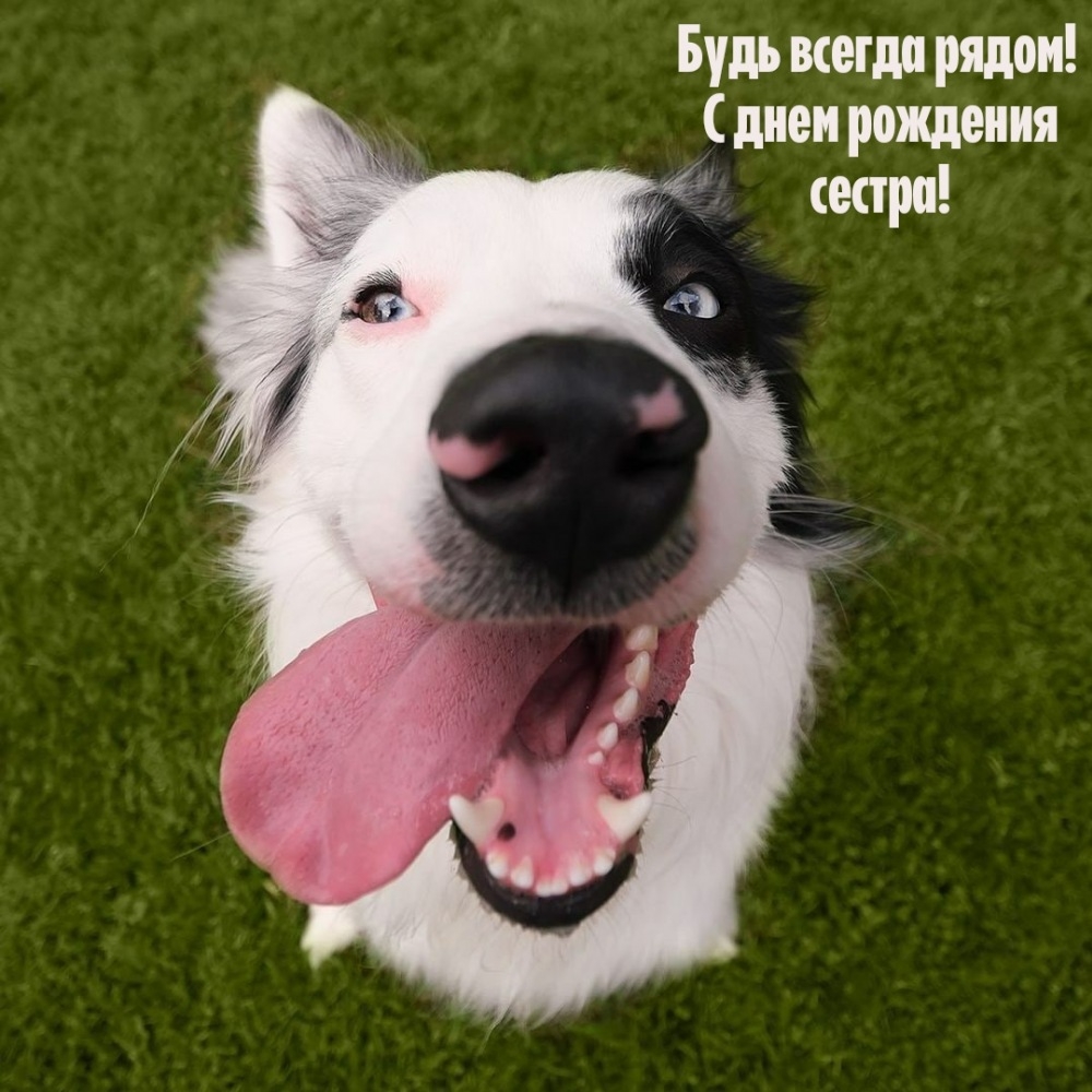 Будь всегда рядом!  С днем рождения сестра!