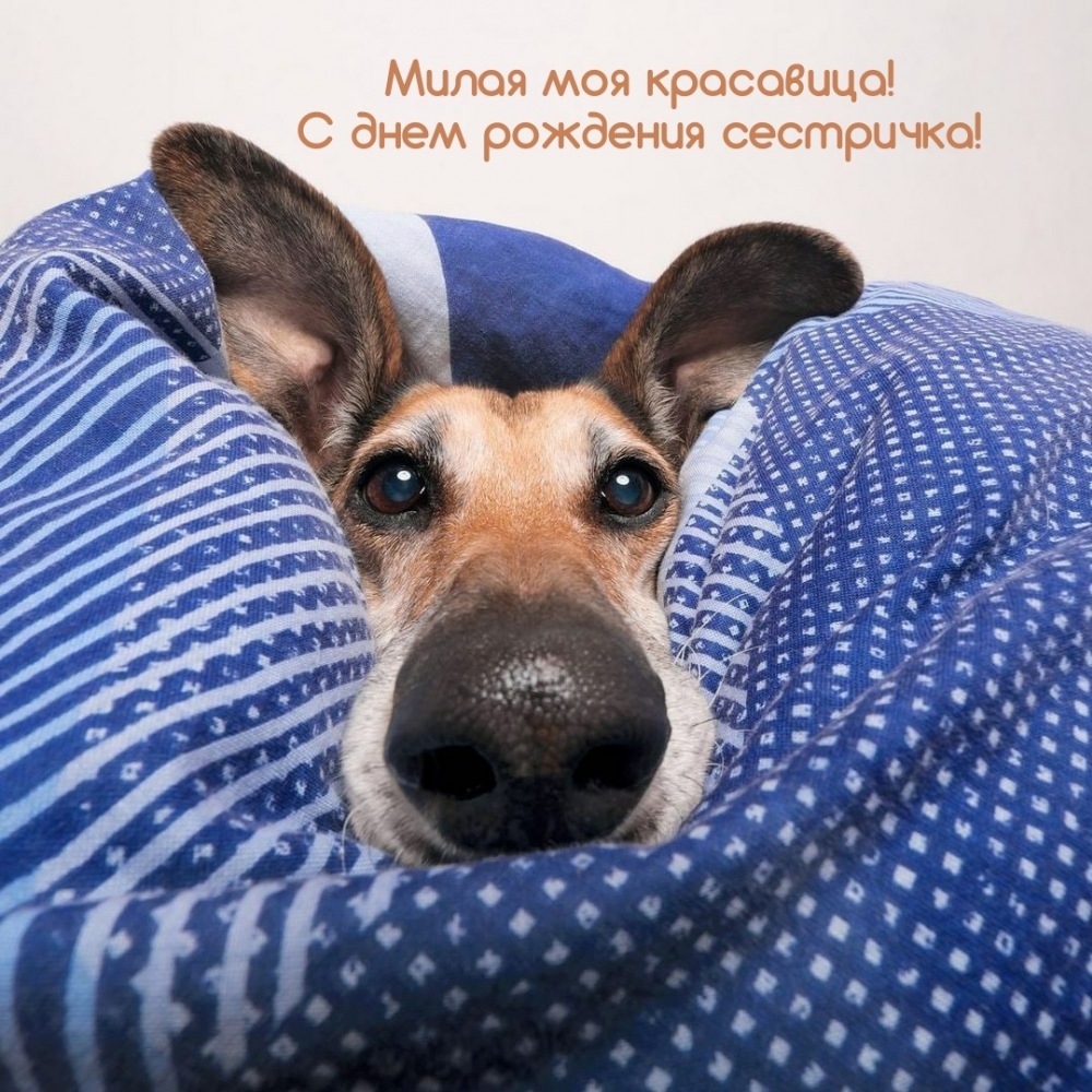 Милая моя красавица! С днем рождения сестричка!