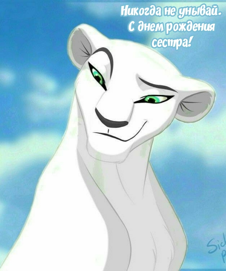 Никогда не унывай. С днем рождения сестра!