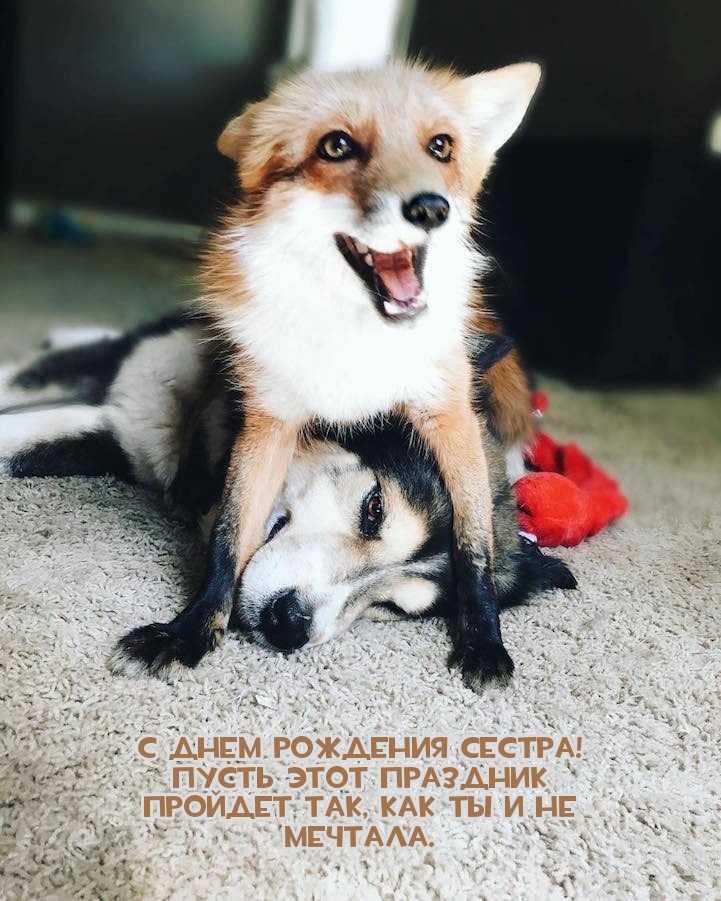 Пусть этот праздник пройдет так, как ты и не мечтала.