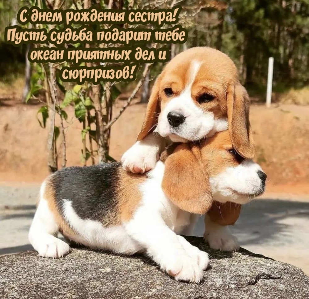 С днем рождения сестра! Пусть судьба подарит океан приятных дел
