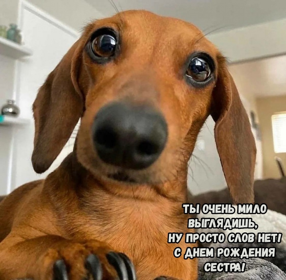 С днем рождения сестра! Ты очень мило выглядишь