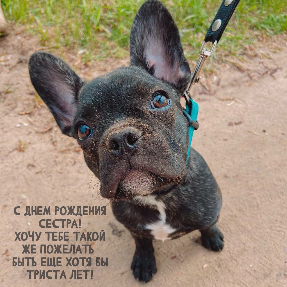 Хочу тебе такой же пожелать быть еще хотя бы триста лет!