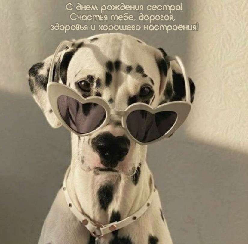 Сестра! Счастья тебе, дорогая, здоровья и хорошего настроения!