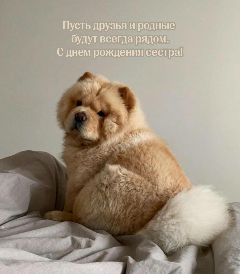 Пусть друзья и родные будут всегда рядом. С днем рождения сестра!