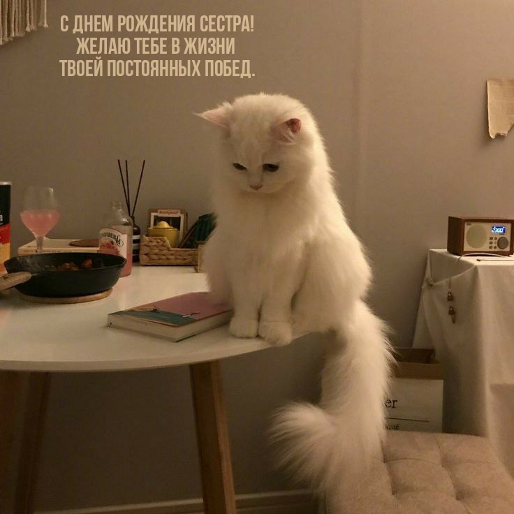 Желаю тебе в жизни твоей постоянных побед.