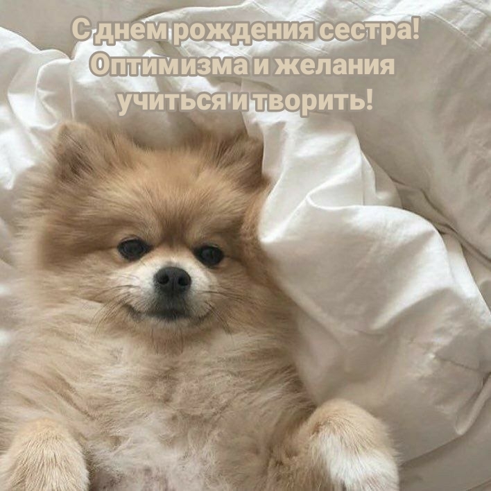 С днем рождения сестра! Оптимизма и желания учиться
