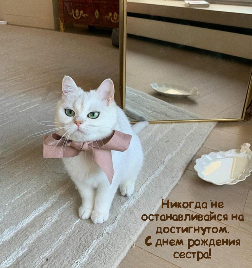Никогда не останавливайся на достигнутом. С днем рождения сестра!
