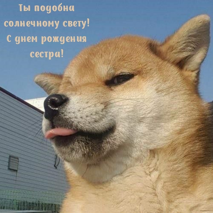 Ты подобна солнечному свету! С днем рождения сестра!