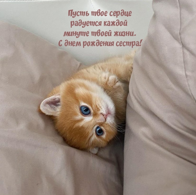 С днем рождения сестра! Пусть сердце радуется каждой минуте жизни.