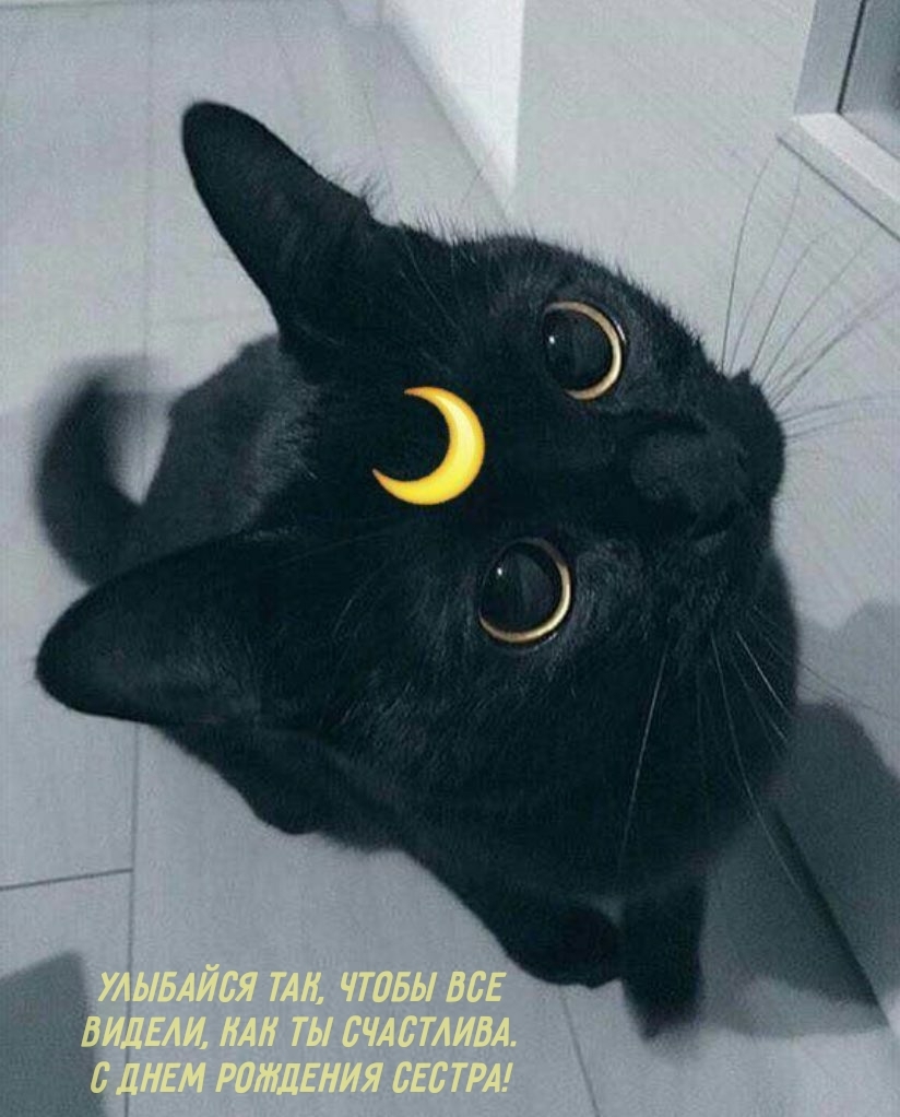 Улыбайся так, чтобы все видели, как ты счастлива.