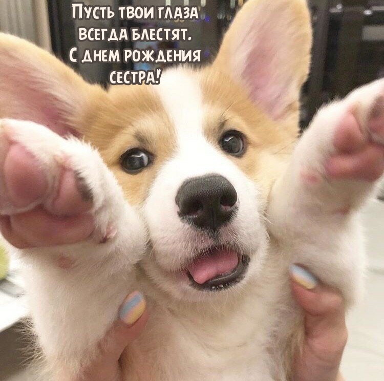 Пусть твои глаза всегда блестят. С днем рождения сестра!