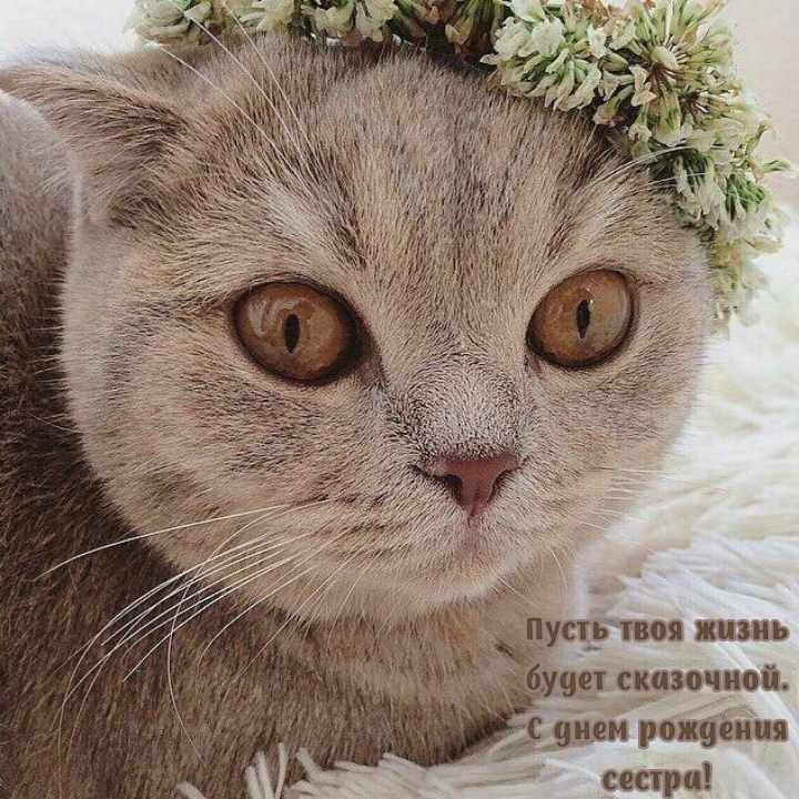 Пусть твоя жизнь будет сказочной. С днем рождения сестра!