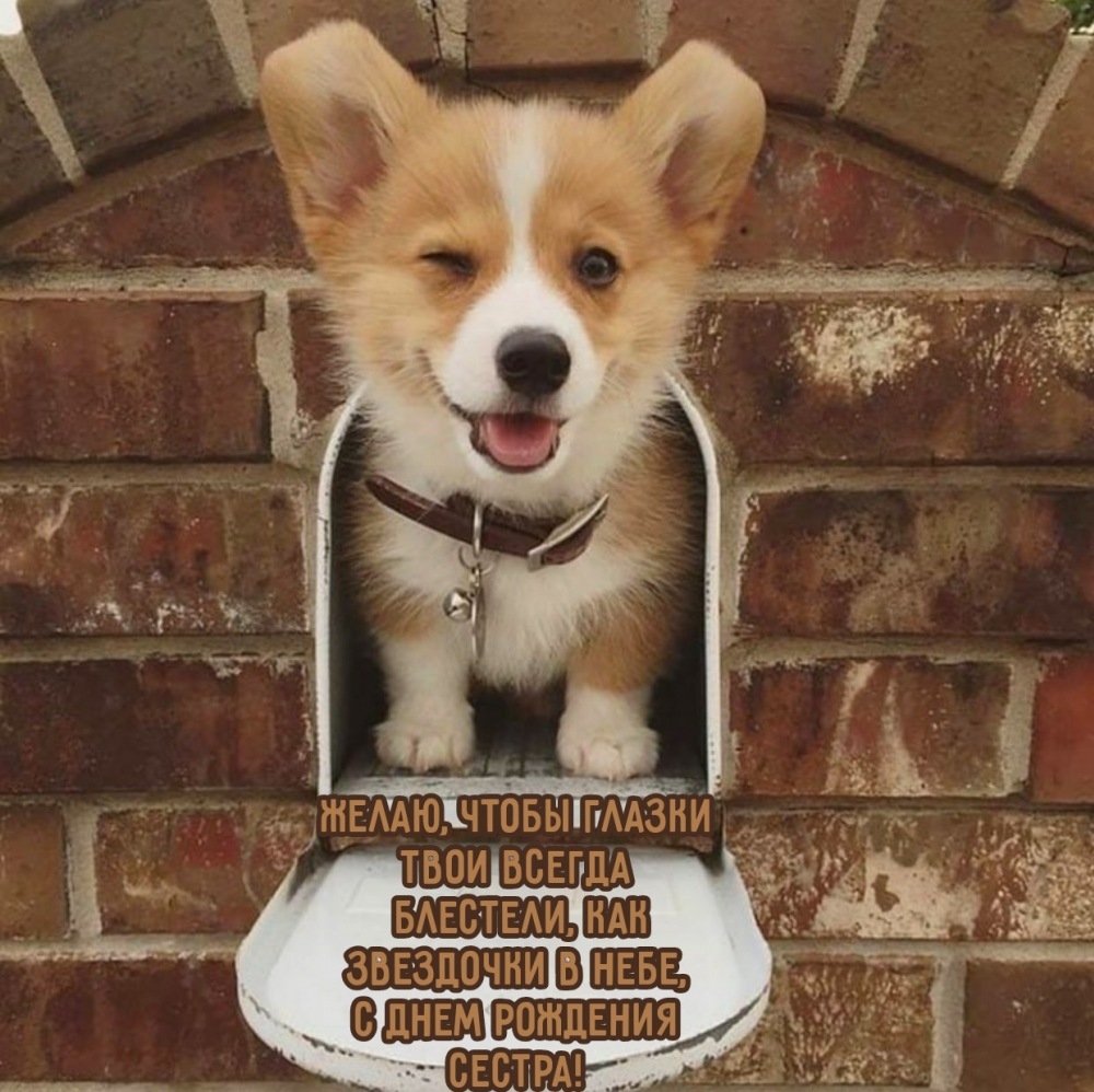 Желаю, чтобы глазки твои всегда блестели, как звездочки в небе