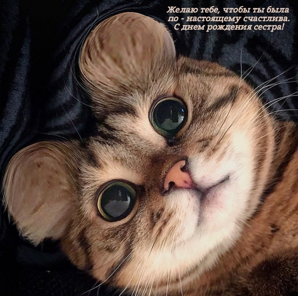 Чтобы ты была по - настоящему счастлива. С днем рождения сестра!