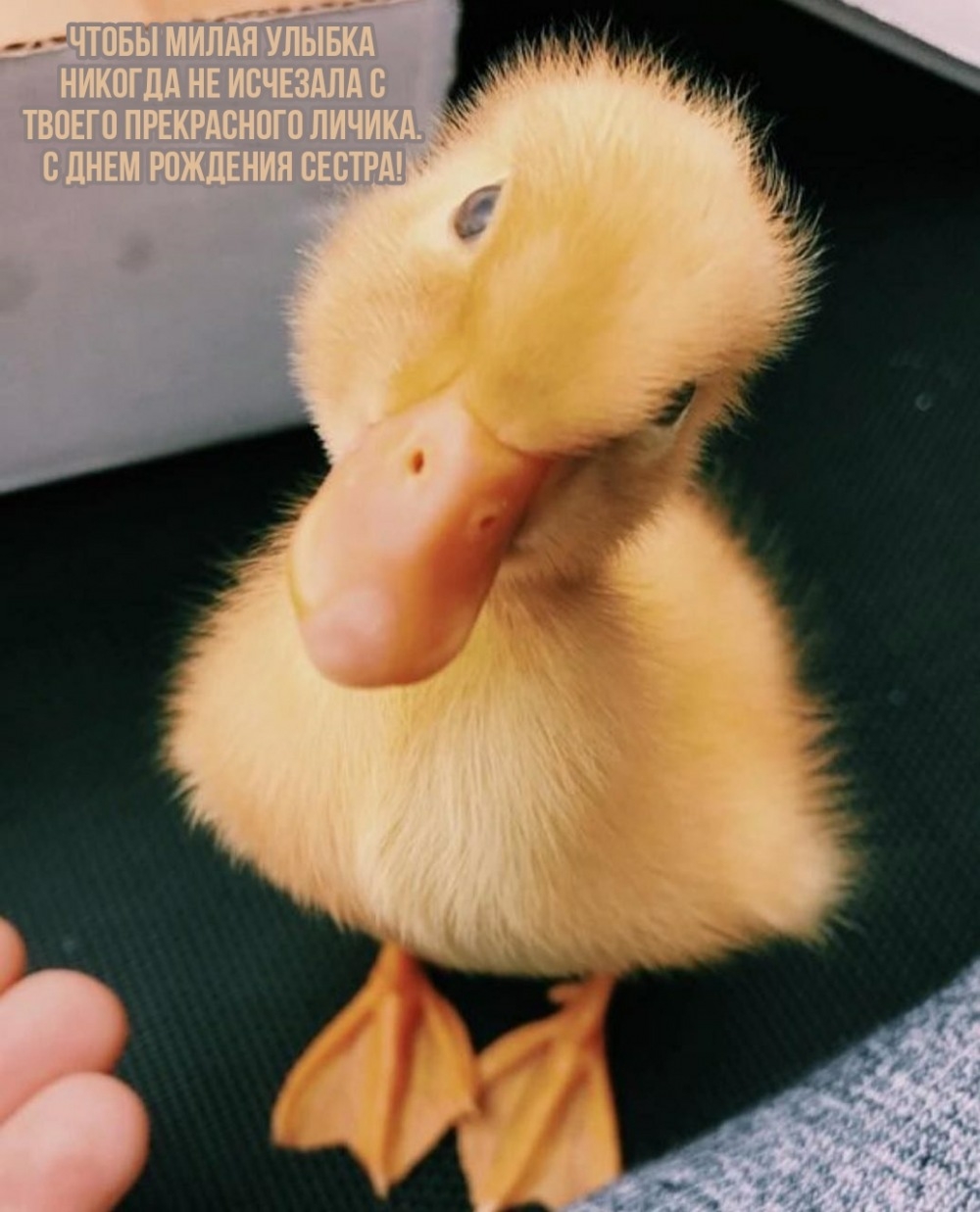 С днем рождения сестра! Чтобы милая улыбка никогда не исчезала 