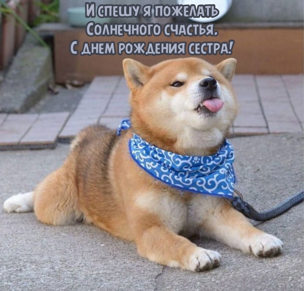 И спешу я пожелать солнечного счастья. С днем рождения сестра!
