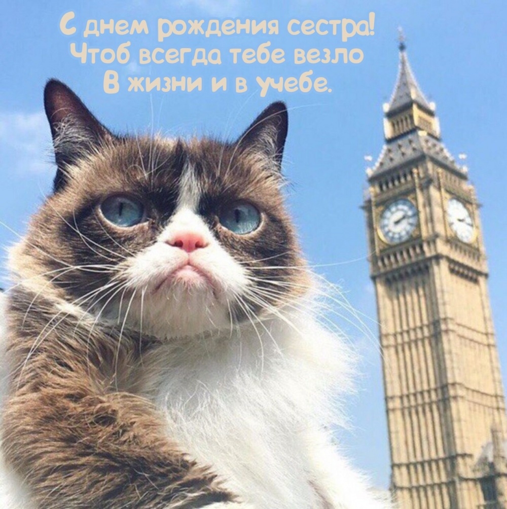 С днем рождения сестра! Чтоб всегда везло в жизни и в учебе.