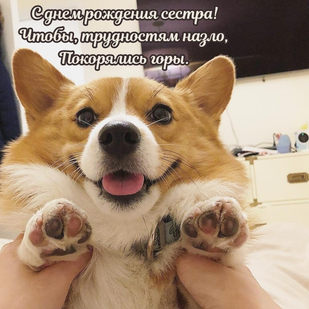 С днем рождения сестра! Чтобы, трудностям назло, покорялись горы.