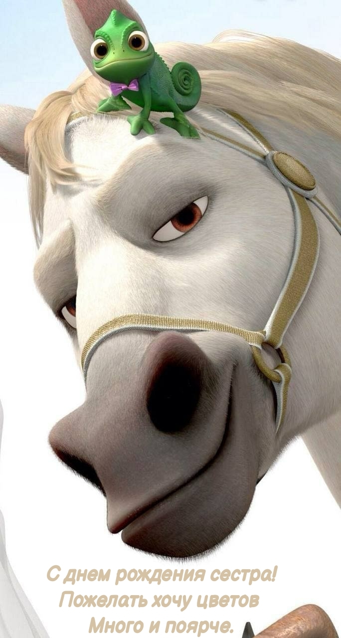 С днем рождения сестра! Пожелать хочу цветов много и поярче.