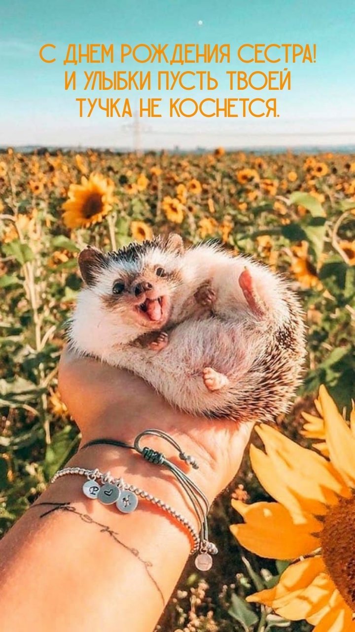 С днем рождения сестра! И улыбки пусть твоей тучка не коснется.