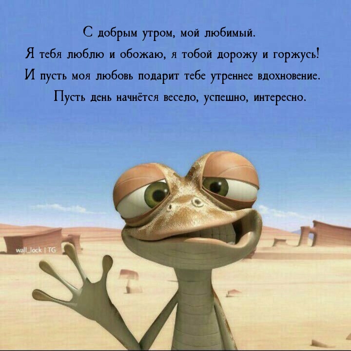 С добрым утром, мой любимый.