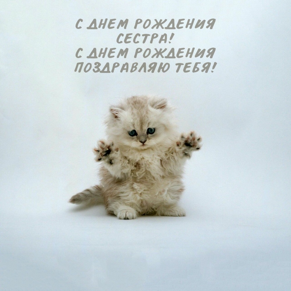 С днем рождения сестра! С днем рождения поздравляю тебя!