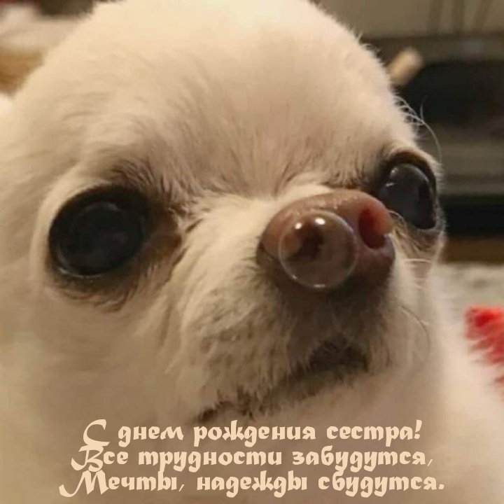 С днем рождения сестра! Все трудности забудутся