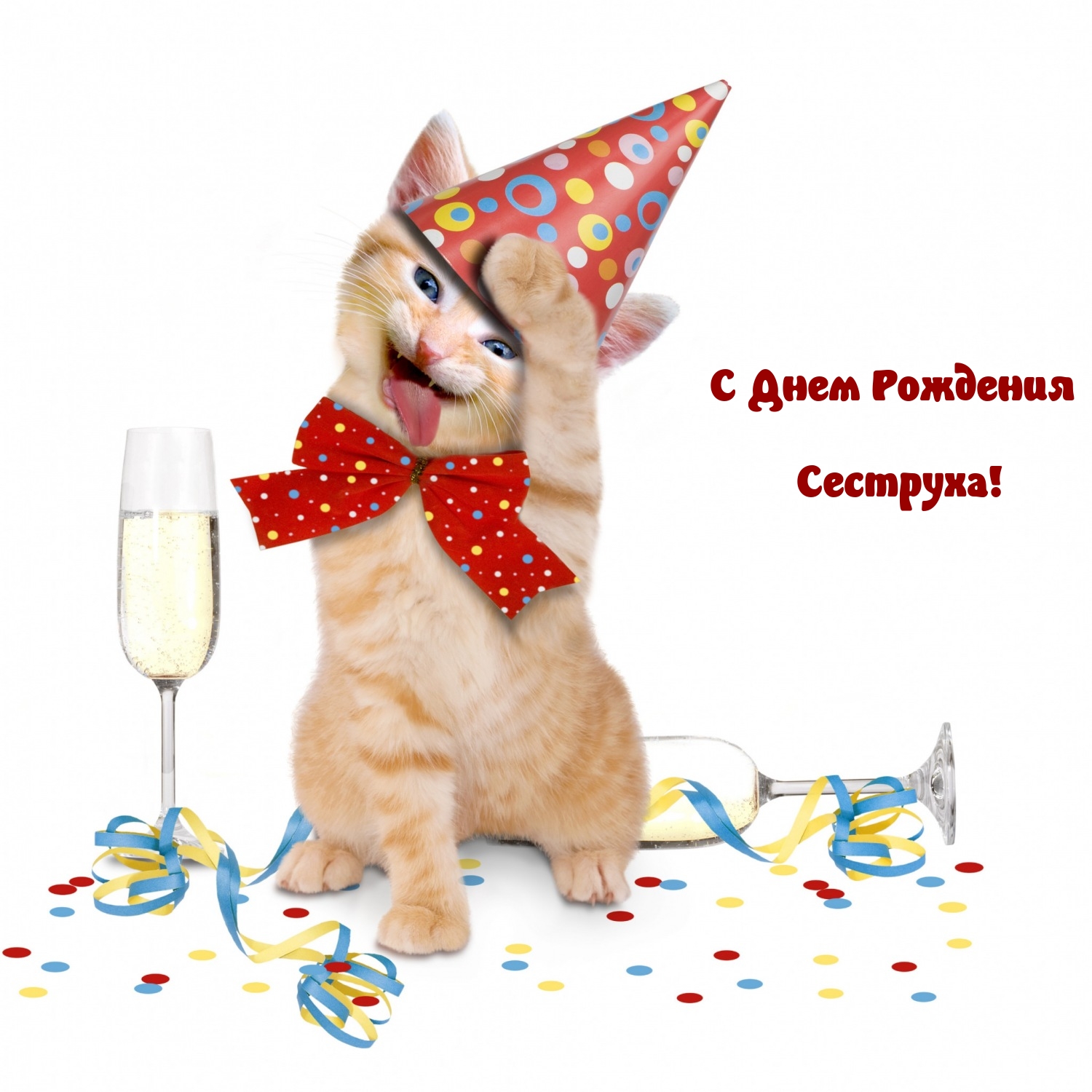 С Днем Рождения Сеструха!