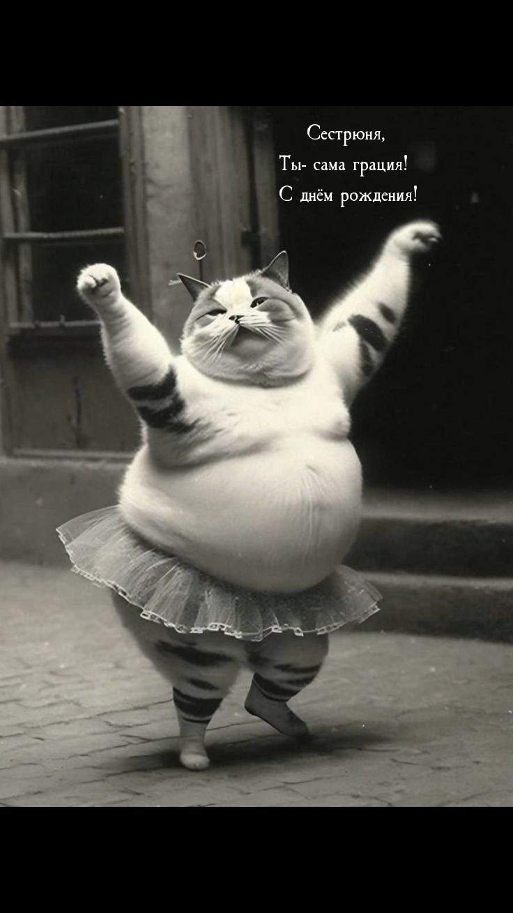 Сестрюня, Ты- сама грация! С днём рождения!