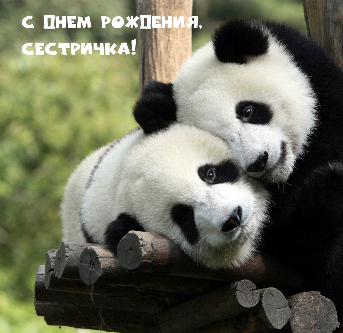 С днем рождения, сестричка!