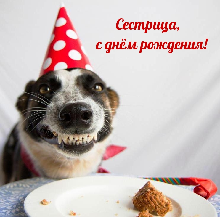 Сестрица, с днём рождения!