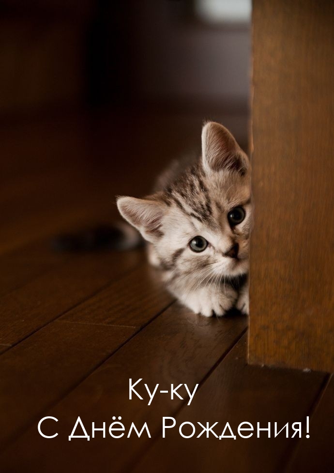 Ку-ку С Днём Рождения!