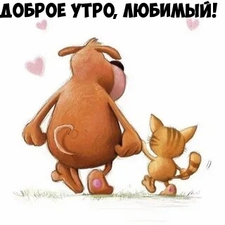 Доброе утро, любимый!