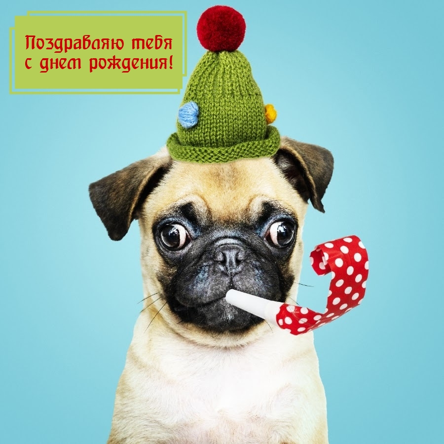 Поздравляю тебя с днем рождения!