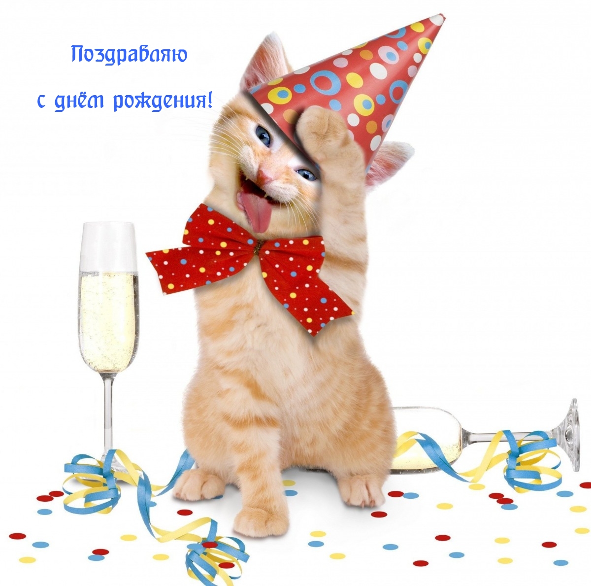 Поздравляю с днём рождения!