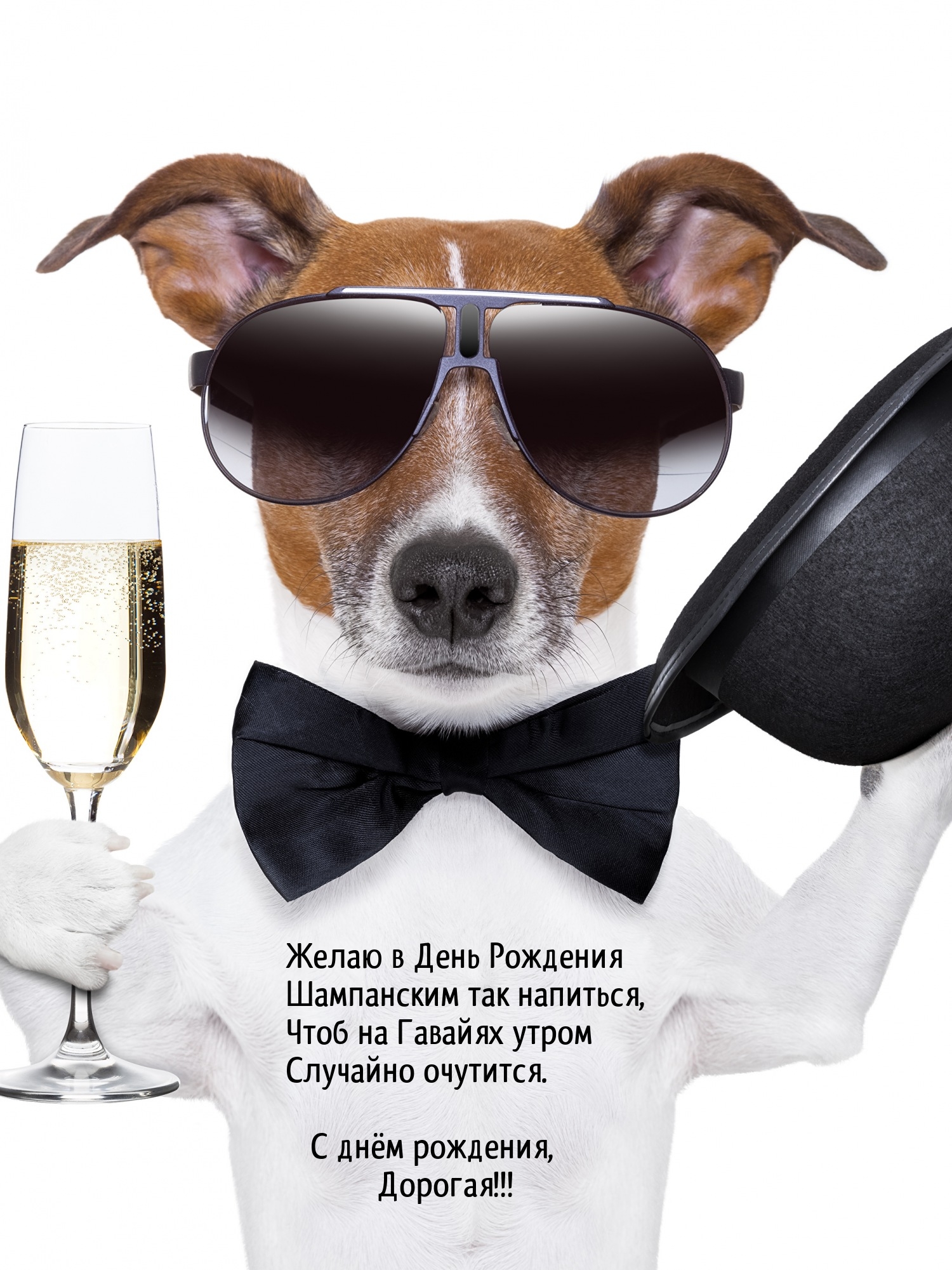 Желаю в День Рождения шампанским так напиться