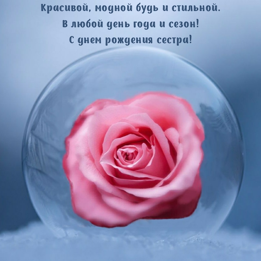 С днем рождения сестра! Красивой, модной будь и стильной.
