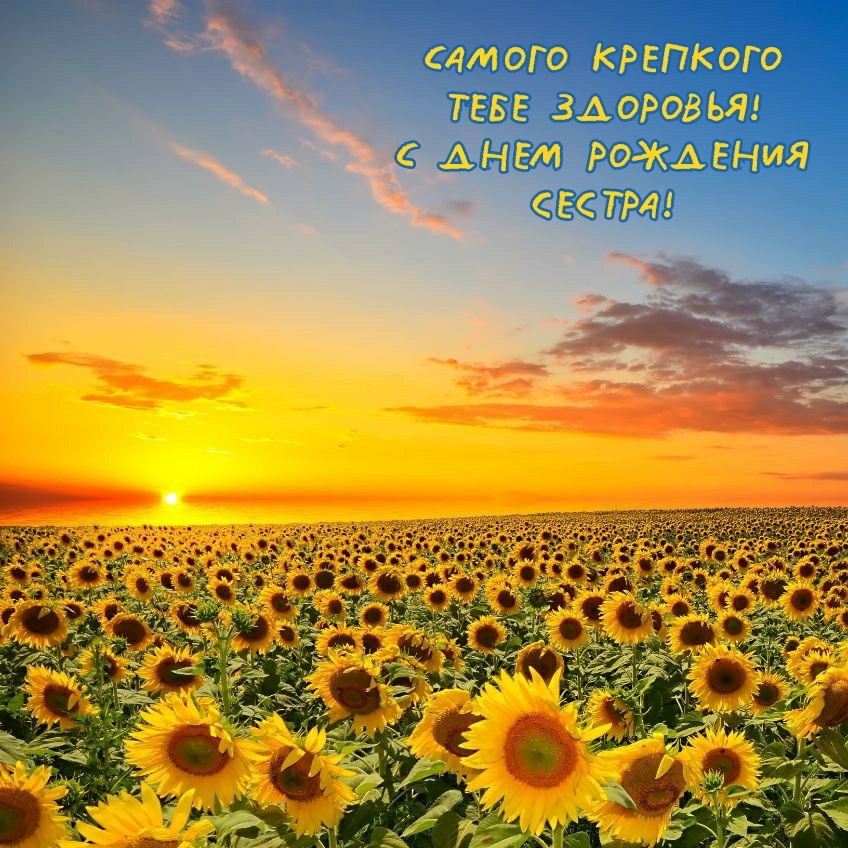 Самого крепкого тебе здоровья! С днем рождения сестра!