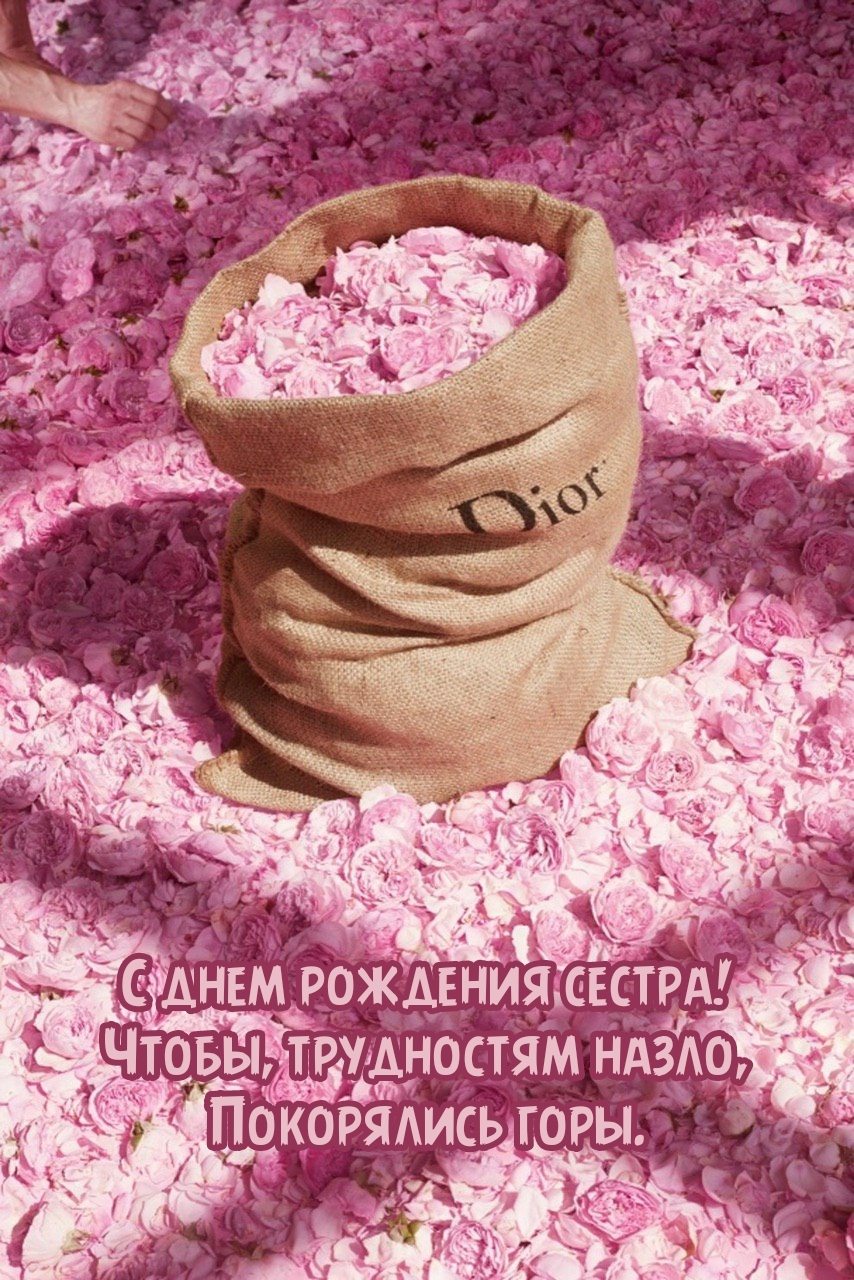 С днем рождения сестра! Чтобы, трудностям назло, покорялись горы.