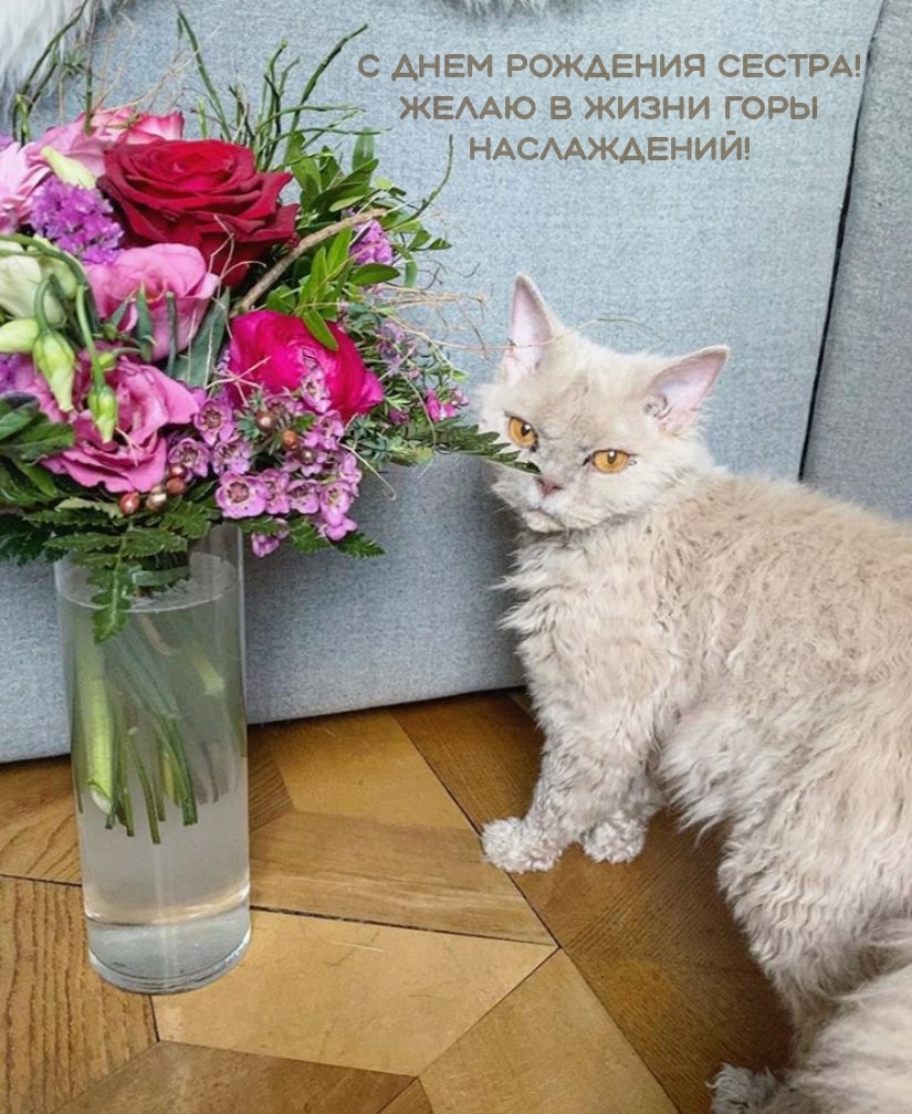 С днем рождения сестра! Желаю в жизни горы наслаждений!