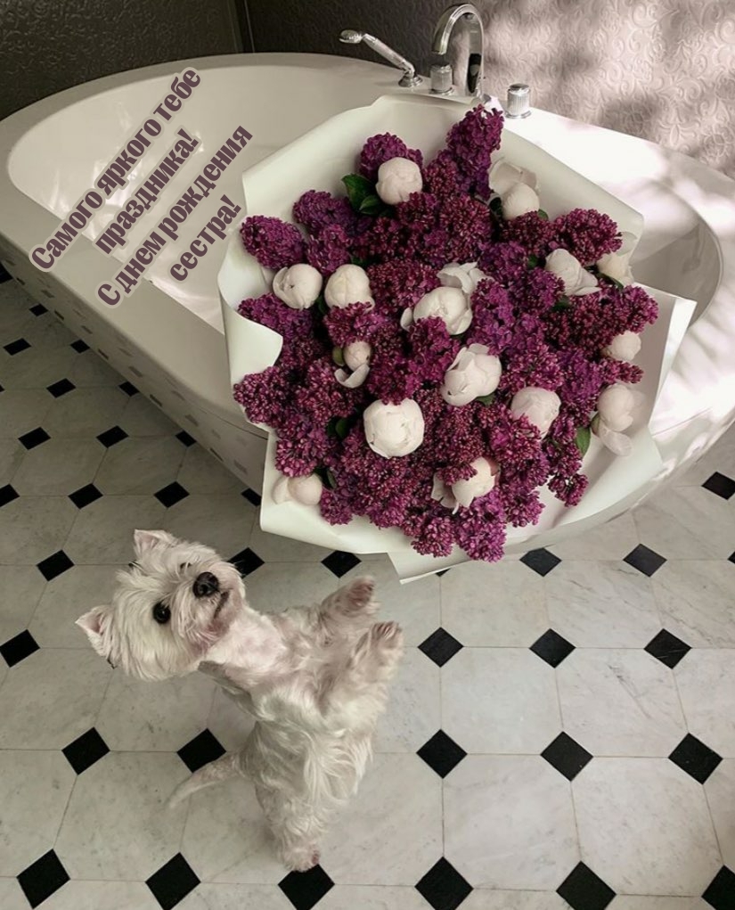 Самого яркого тебе праздника! С днем рождения сестра!