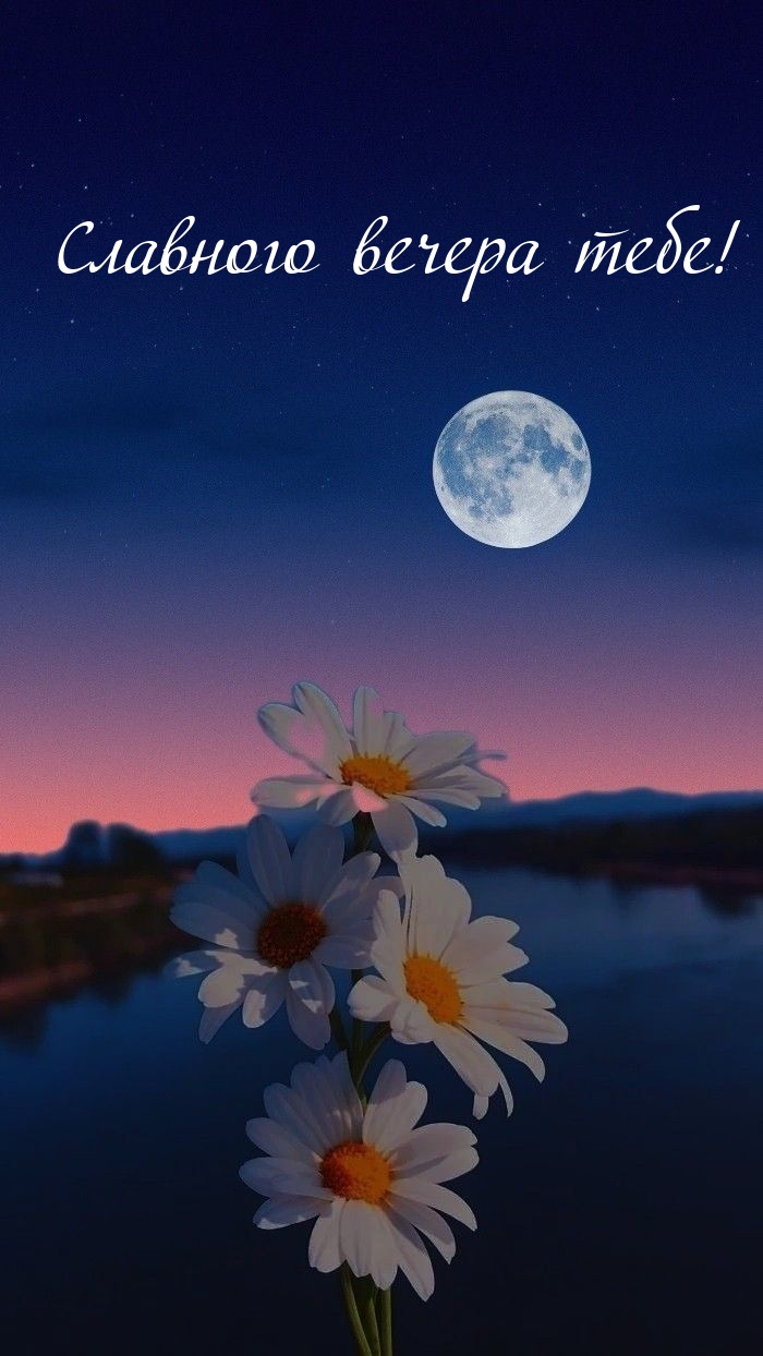 Славного вечера тебе!