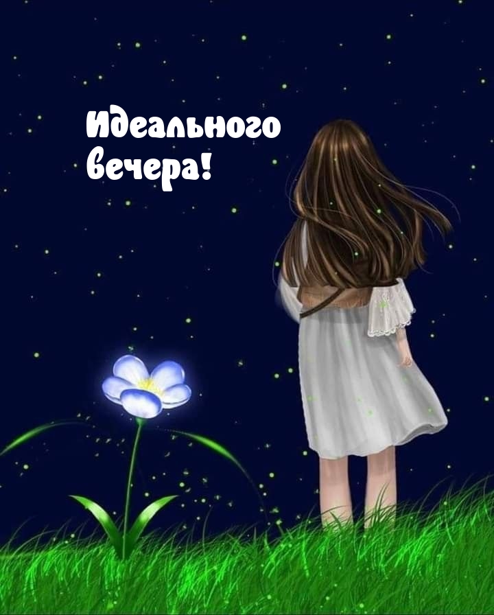Идеального вечера!