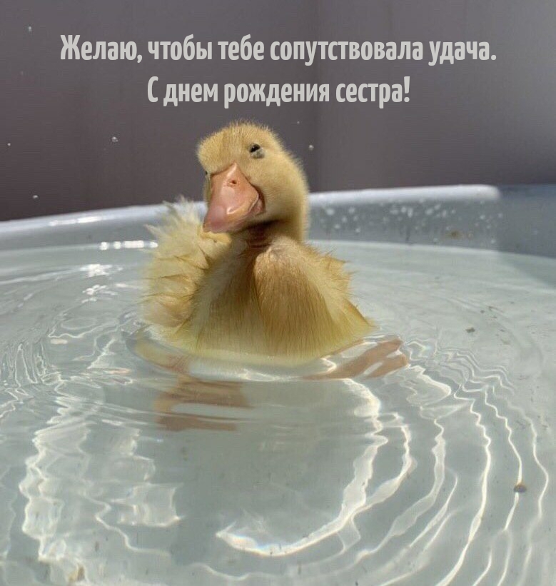Желаю, чтобы тебе сопутствовала удача. С днем рождения сестра!