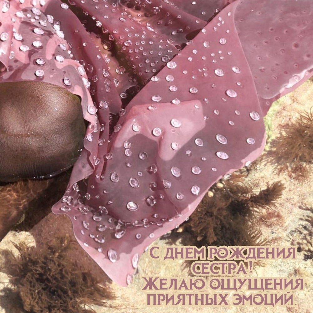 С днем рождения сестра! Желаю ощущения приятных эмоций.